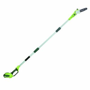 2 Greenworks Cordless Pole Saw