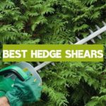 Best Hedge Shears