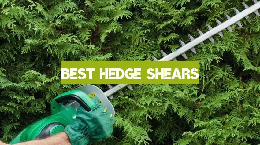 Best Hedge Shears