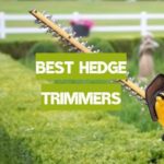Best Hedge Trimmers of 2019