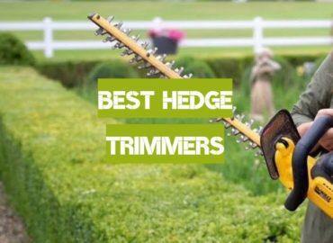 Best Hedge Trimmers of 2019