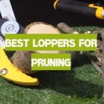 Best Loppers for Pruning