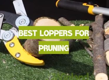 Best Loppers for Pruning