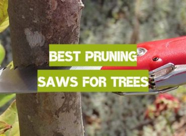 10 Best Pruning Saws for Trees
