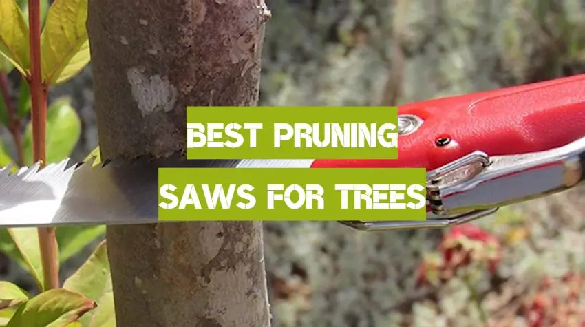 Best Pruning Saws for Trees