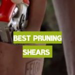 Pruning Shears