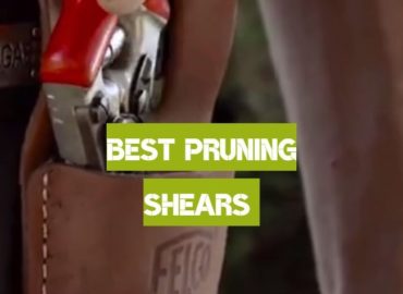Pruning Shears of 2019