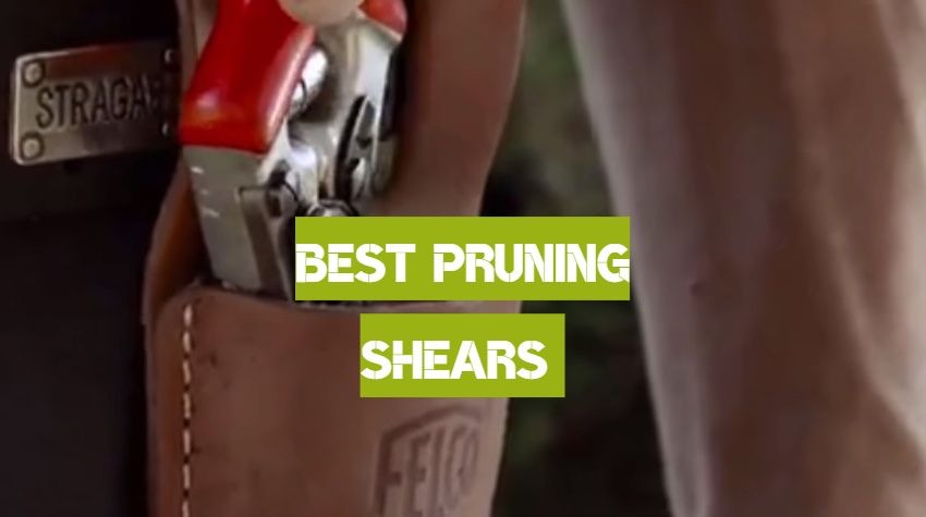 Pruning Shears of 2019