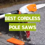 Best Cordless Pole Saws