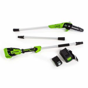 Greenworks 8-Inch 24V Cordless Pole Saw