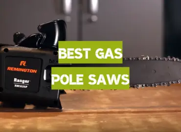 5 Best Gas Pole Saws