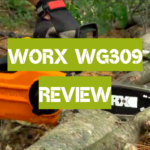 Worx WG309