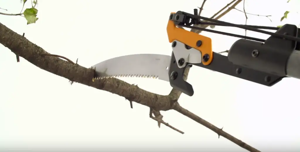 How To Use A Manual Pole Saw