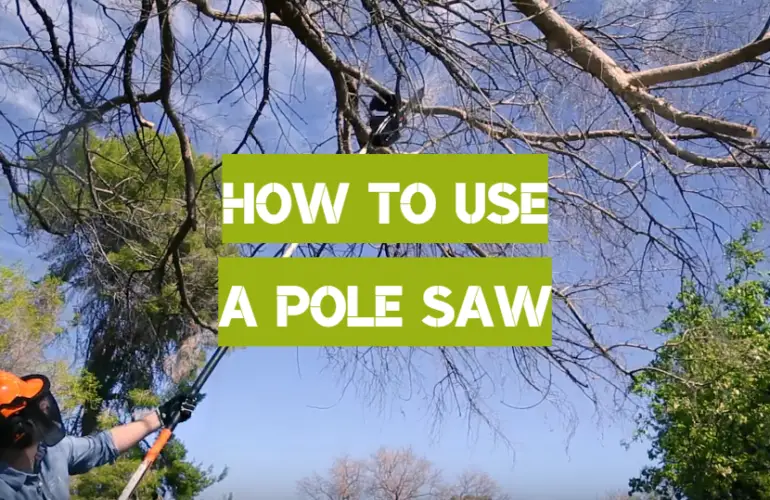 How To Use A Pole Saw [Easy Guide For Beginners] Polesawguide