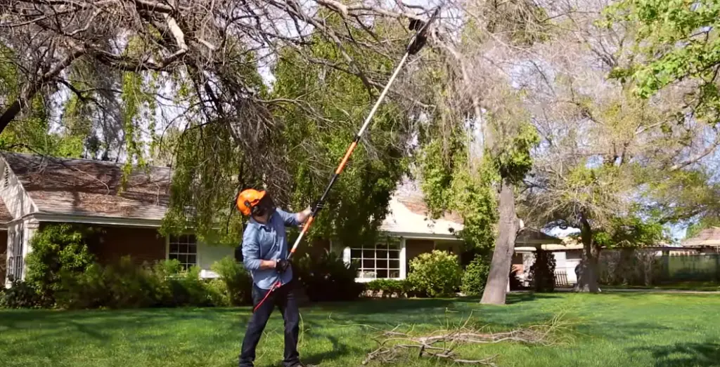 How to Cut Tree Limbs That Are Too High to Reach