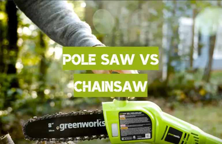 Pole Saw vs Chainsaw Comparison For Gardeners Polesawguide