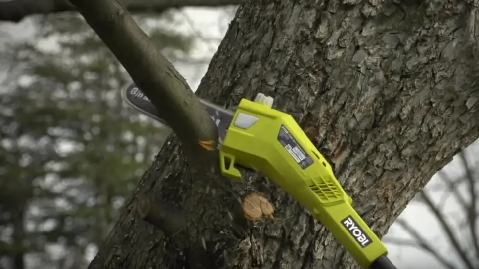 Electric vs Gas Pole Saw: The Buyer’s Guide For Beginners