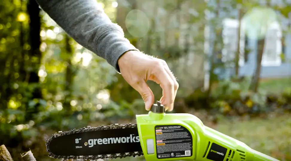 Electric vs Gas Pole Saw: The Buyer’s Guide