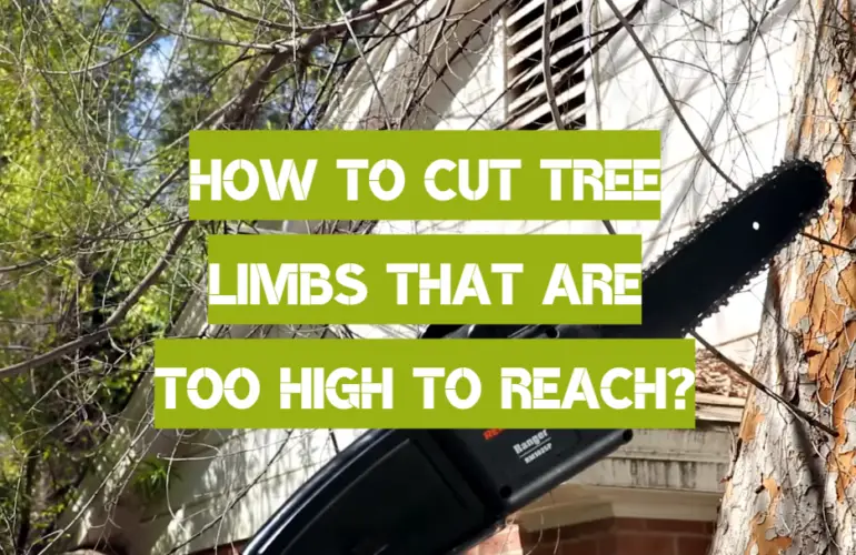 How to Cut Tree Limbs That Are Too High to Reach? Polesawguide