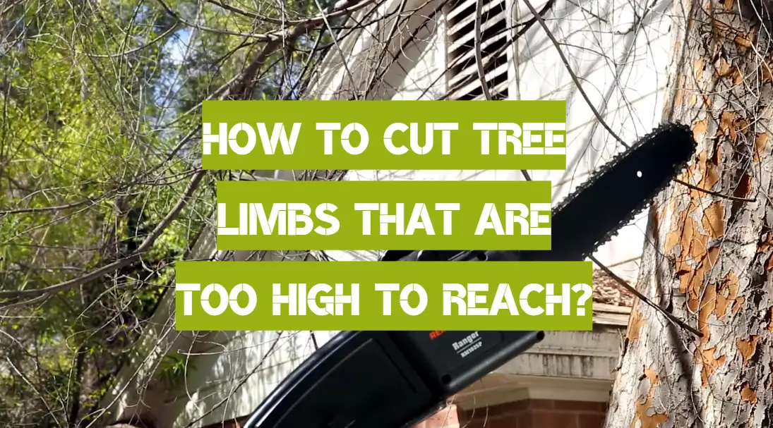 How to Cut Tree Limbs That Are Too High to Reach?