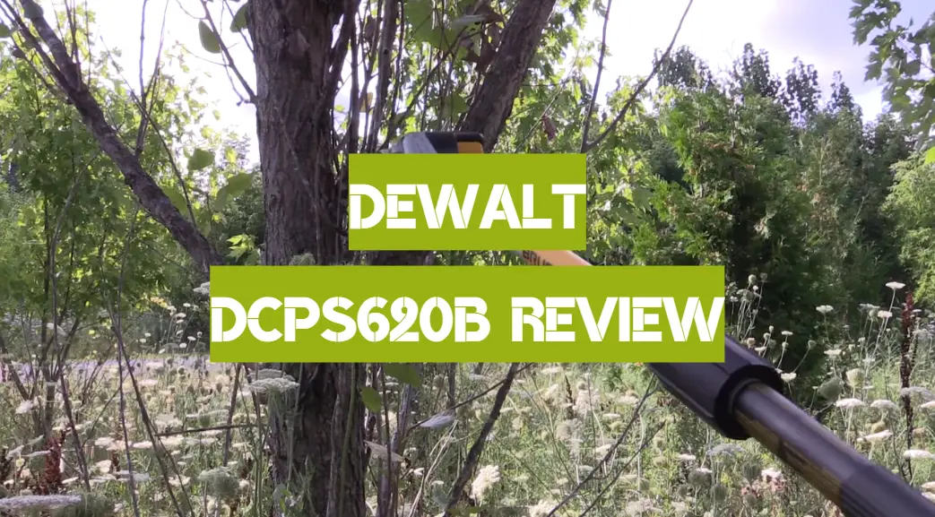 Dewalt DCPS620B Review