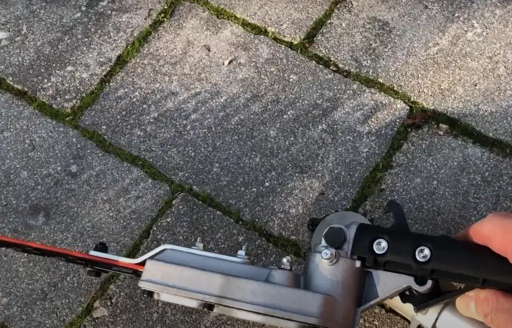 What can you cut with a chainsaw?