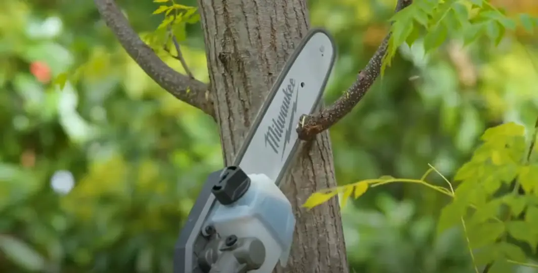 9 Pole Saw Cutting Techniques for Beginners - PoleSawGuide
