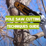 Pole Saw Cutting Techniques Guide