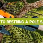 How to Restring a Pole Saw?