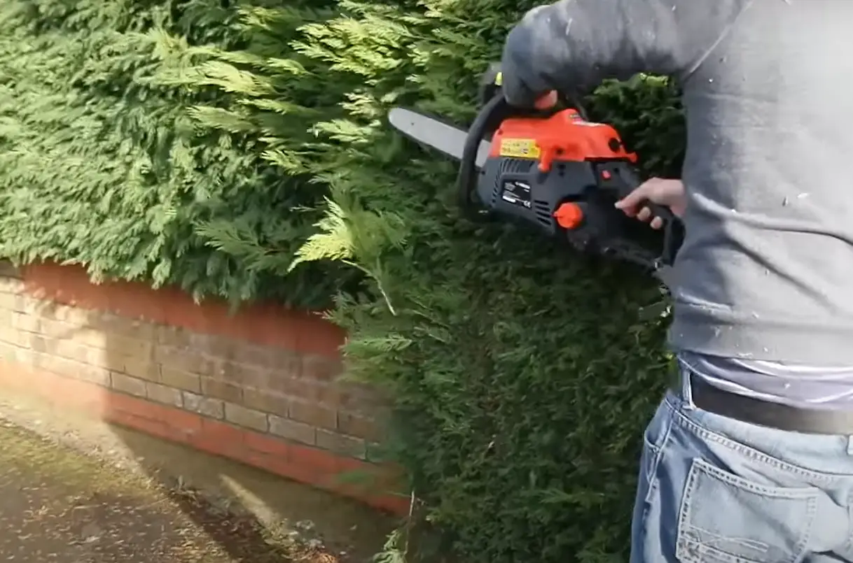 Can You Use a Pole Saw to Trim Hedges? PoleSawGuide