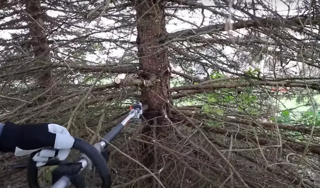 How does the Stihl pole saw work?