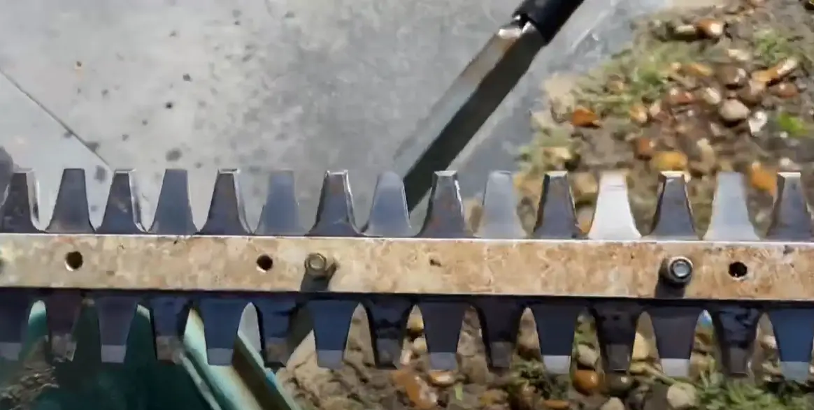 How to Clean Hedge Trimmer Blades? PoleSawGuide