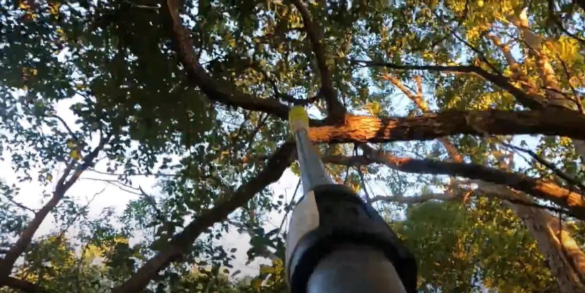 Ryobi RPP720 Pole Pruner Review PoleSawGuide