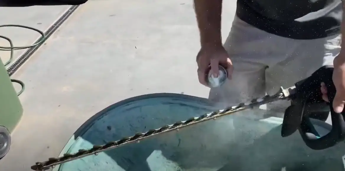 How to Clean Hedge Trimmer Blades? PoleSawGuide