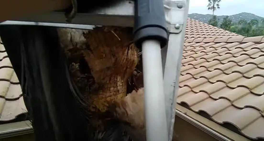 EGO vs. Greenworks Pole Saw Which is Better? PoleSawGuide