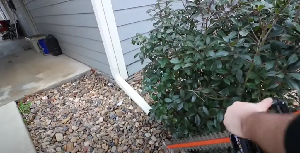 Electric Hedge Trimmer: What Is It?