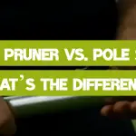 Pole Pruner vs. Pole Saw: What’s the Difference?