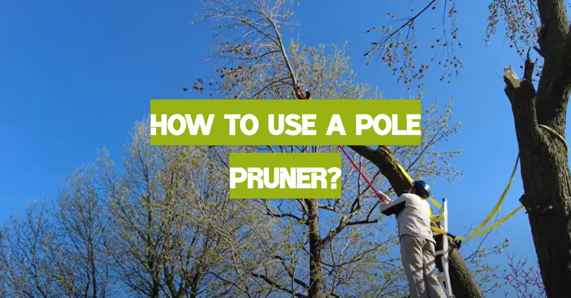 How to Use a Pole Pruner?