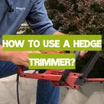 How to Use a Hedge Trimmer?