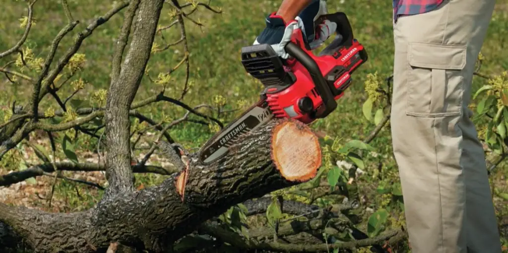 Hedge Trimmer Vs. Chainsaw