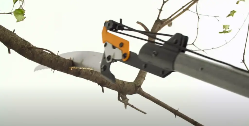 How do you use a telescopic pruner?