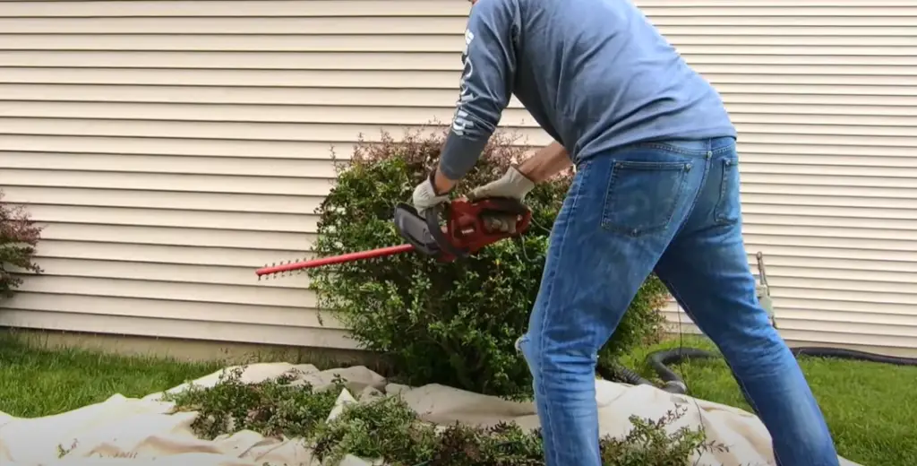 Take Care Of Your Hedge Trimmer