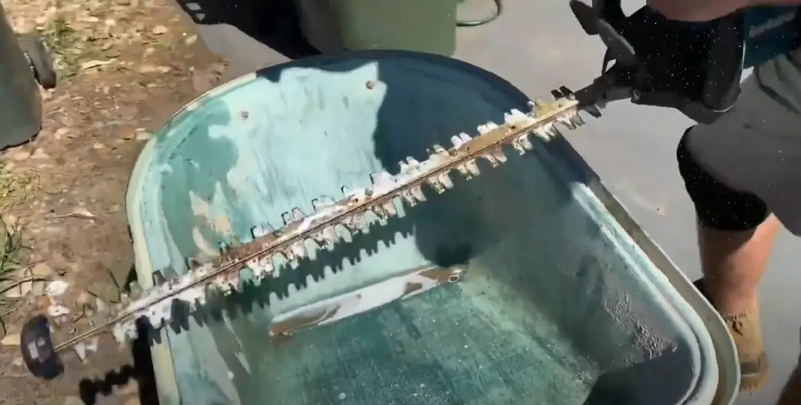 How to Clean Hedge Trimmer Blades? PoleSawGuide