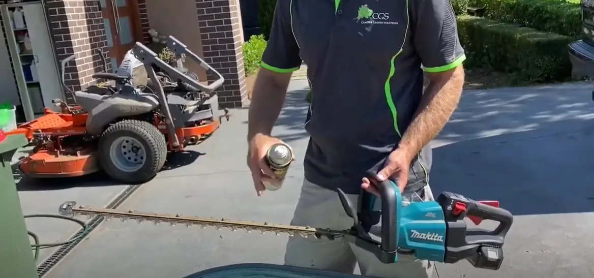 How to Clean Hedge Trimmer Blades? PoleSawGuide