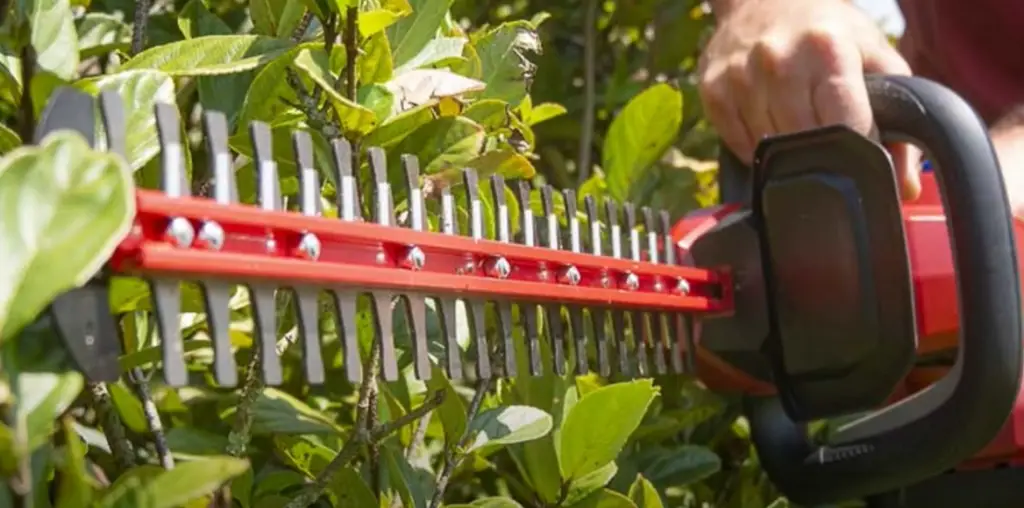 Can You Use A Hedge Trimmer To Cut Branches?