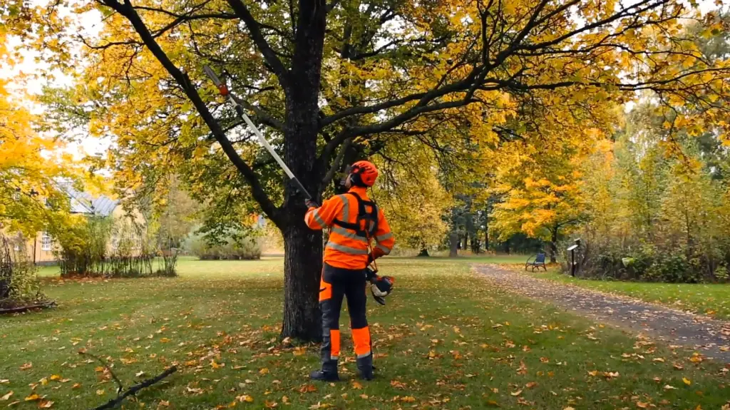 Husqvarna Pole Saw Prices PoleSawGuide