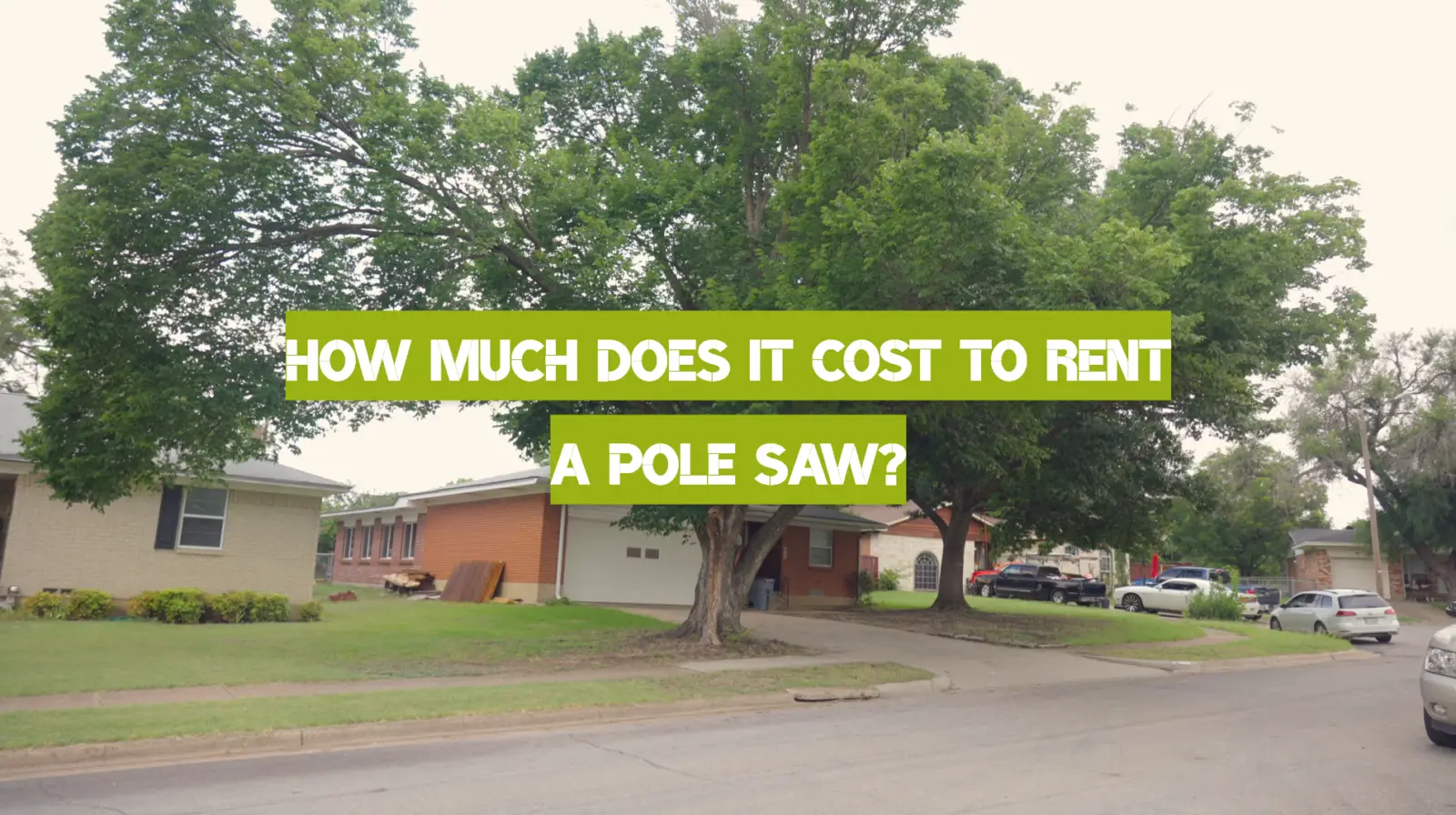How Much Does It Cost to Rent a Pole Saw?