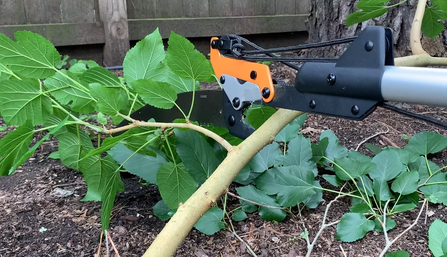 Safety Precautions to Keep in Mind When Working with a Fiskars Pole Saw