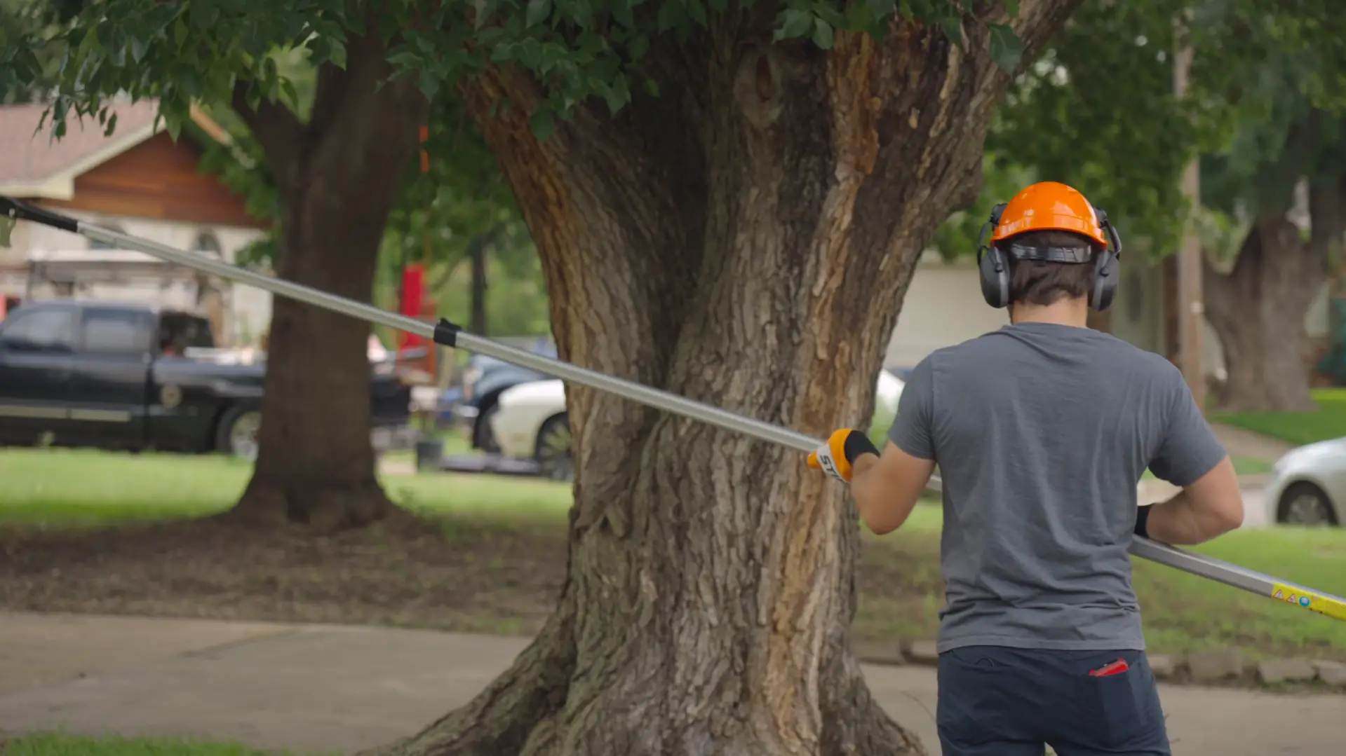 Top 10 Benefits of Renting a Pole Saw