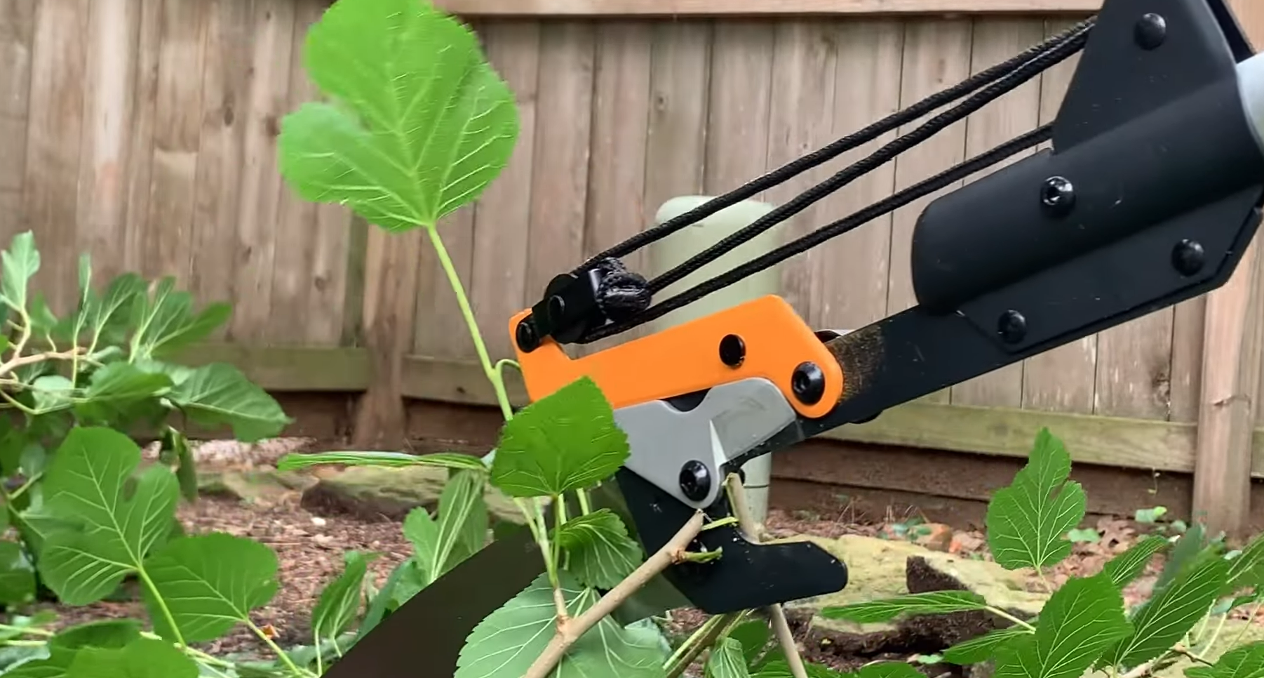 Using a Fiskars Pole Saw